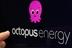 Octopus Energy JPEG.jpeg