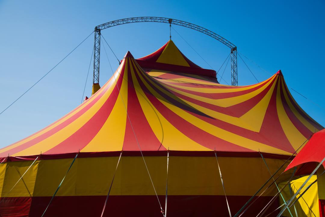 Festivals